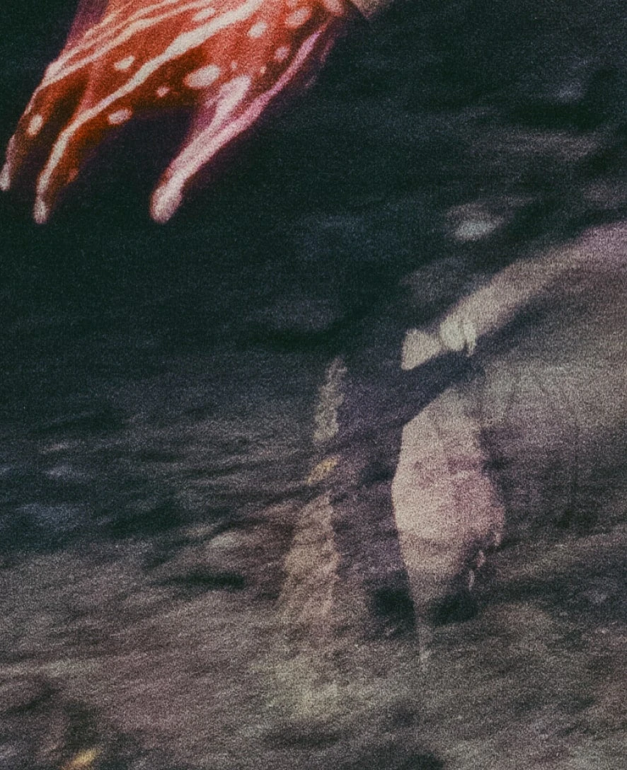 Keen Women's Jasper Rocks Sneaker X Hiking Patrol | Cuban Beige - Image 8