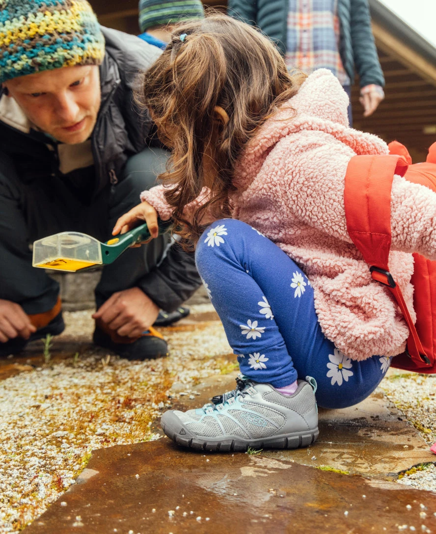 Keen Little Kids' Chandler 2 CNX Sneaker | Antigua Sand/Drizzle - Image 7